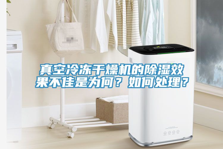 真空冷凍幹燥機的除濕效果不佳是為何？如何處理？