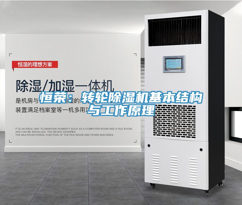 恒榮：轉輪蘑菇视频网站基本結構與工作原理