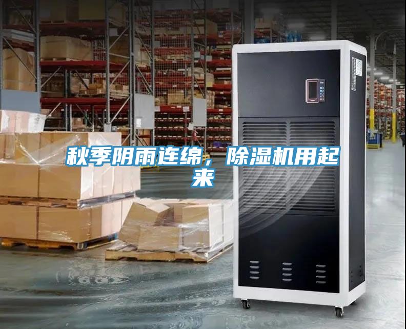 秋季陰雨連綿，蘑菇视频网站用起來