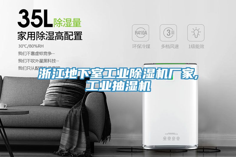 浙江地下室工業蘑菇视频网站廠家,工業抽濕機