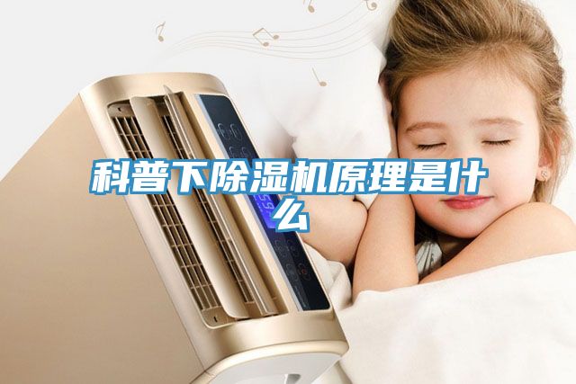 科普下蘑菇视频网站原理是什麽