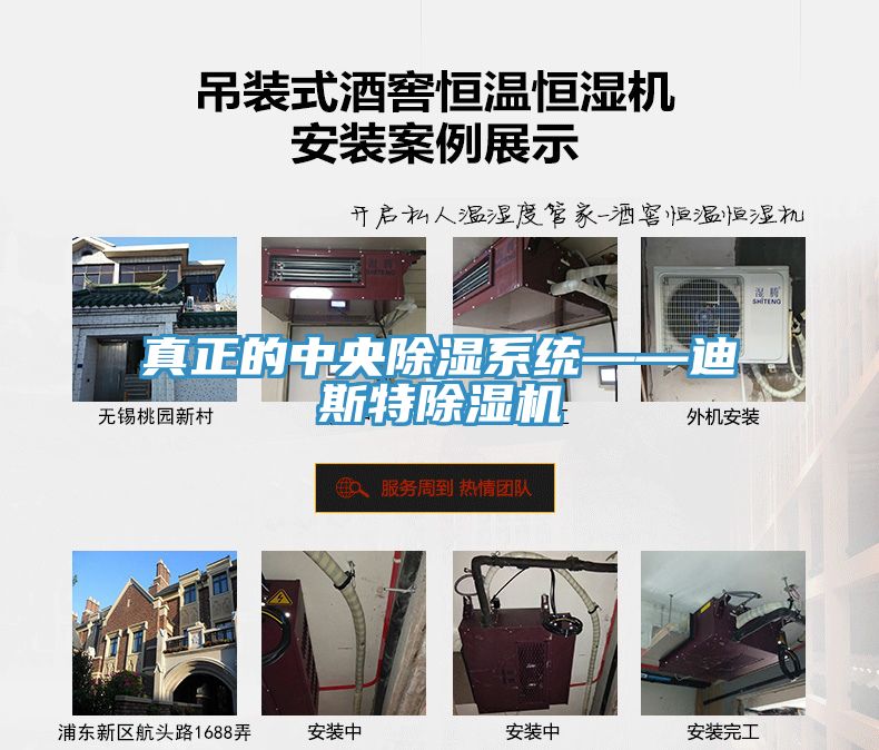真正的中央除濕係統——迪斯特蘑菇视频网站