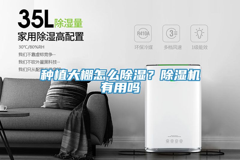 種植大棚怎麽除濕？蘑菇视频网站有用嗎