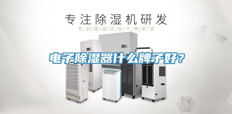 電子除濕器什麽牌子好？