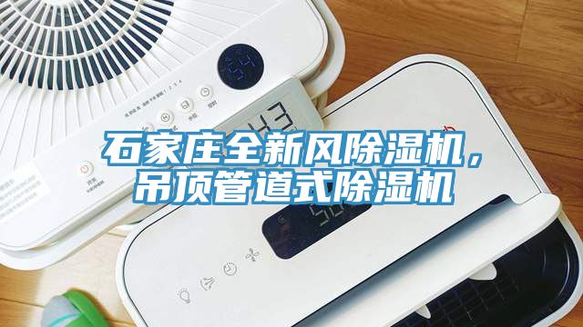 石家莊全新風蘑菇视频网站，吊頂管道式蘑菇视频网站