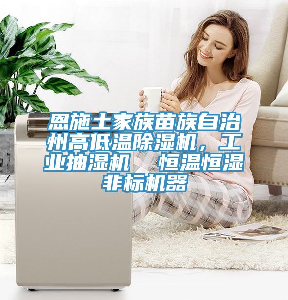 恩施土家族苗族自治州高低溫蘑菇视频网站，工業抽濕機  恒溫恒濕非標機器