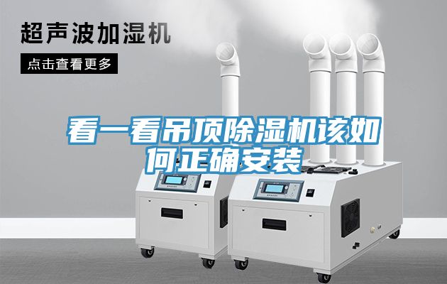 看一看吊頂蘑菇视频网站該如何正確安裝