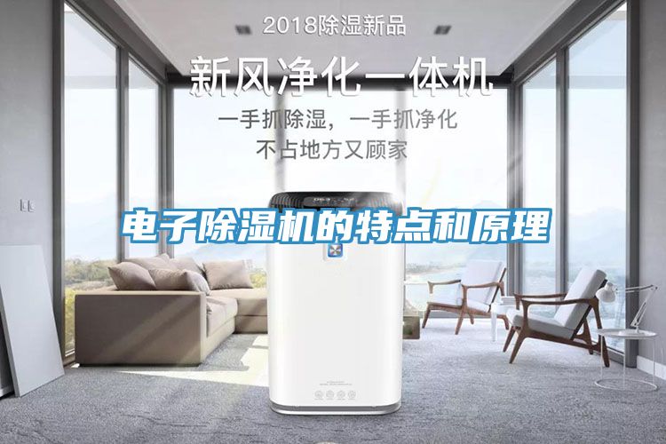 電子蘑菇视频网站的特點和原理
