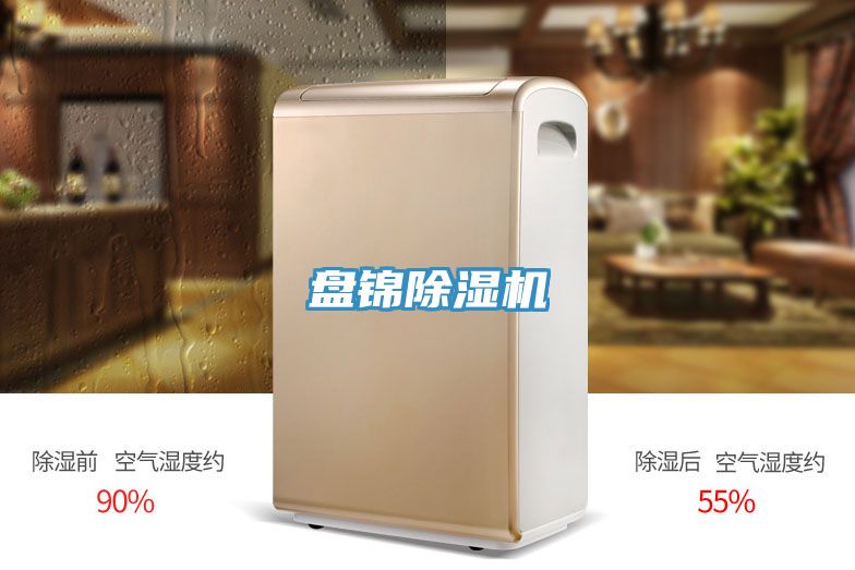 盤錦蘑菇视频网站