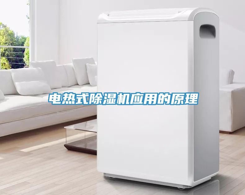 電熱式蘑菇视频网站應用的原理