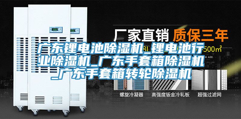 廣東鋰電池蘑菇视频网站_鋰電池行業蘑菇视频网站_廣東手套箱蘑菇视频网站_廣東手套箱轉輪蘑菇视频网站