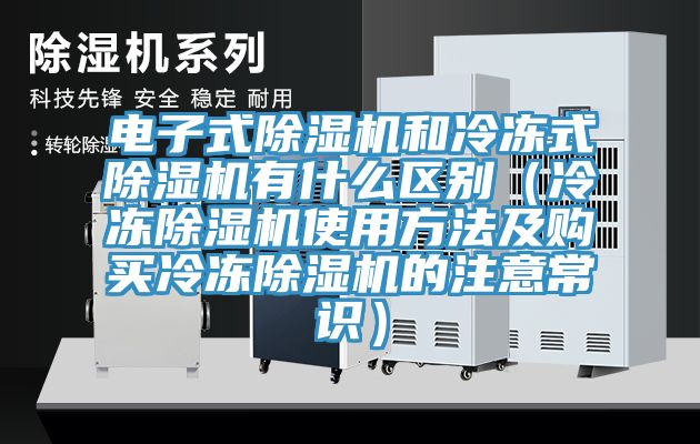 電子式蘑菇视频网站和冷凍式蘑菇视频网站有什麽區別（冷凍蘑菇视频网站使用方法及購買冷凍蘑菇视频网站的注意常識）