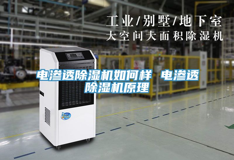 電滲透蘑菇视频网站如何樣 電滲透蘑菇视频网站原理