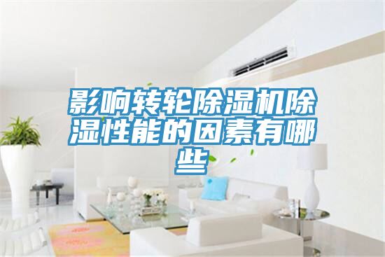 影響轉輪蘑菇视频网站除濕性能的因素有哪些