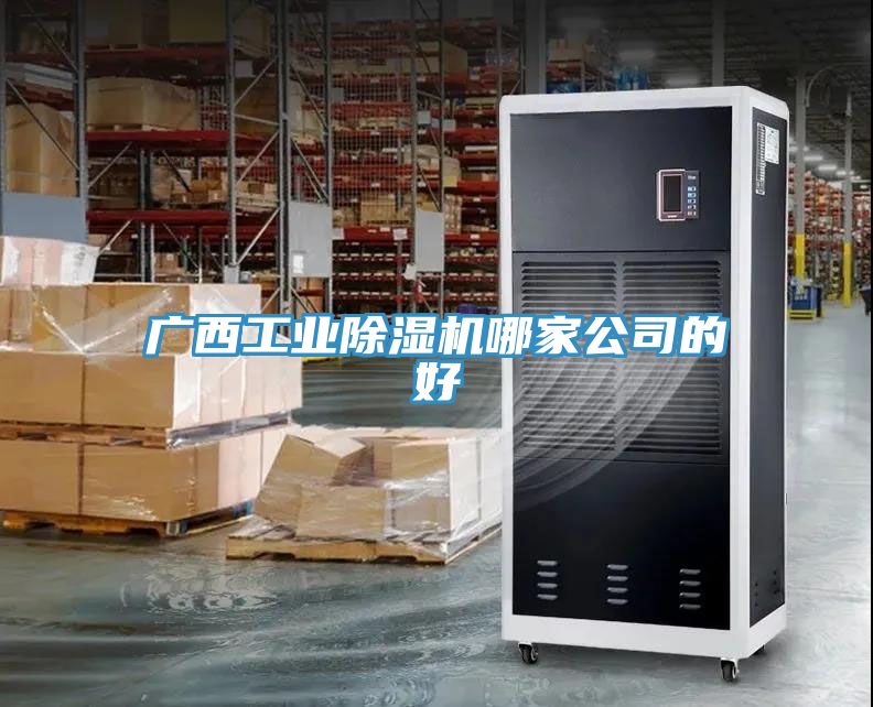 廣西工業蘑菇视频网站哪家公司的好