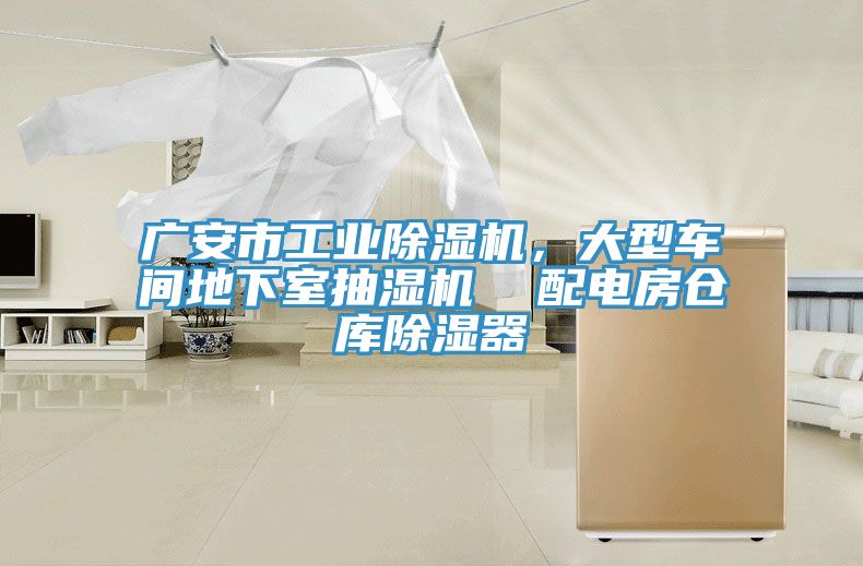 廣安市工業蘑菇视频网站，大型車間地下室抽濕機  配電房倉庫除濕器