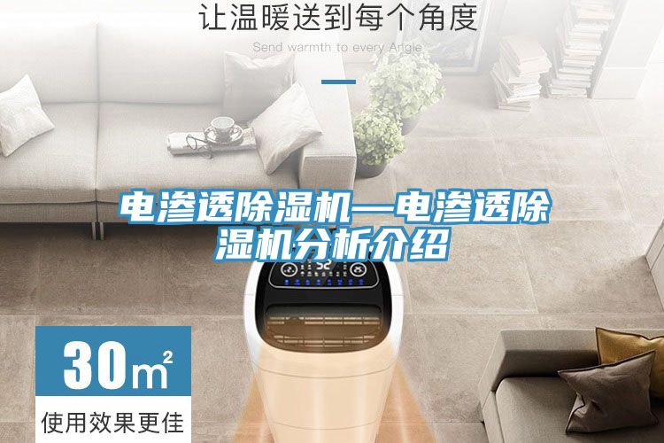 電滲透蘑菇视频网站—電滲透蘑菇视频网站分析介紹