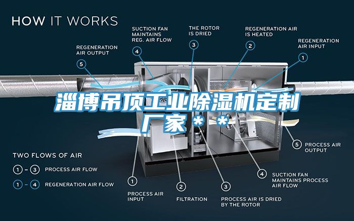 淄博吊頂工業蘑菇视频网站定製 廠家＊＊