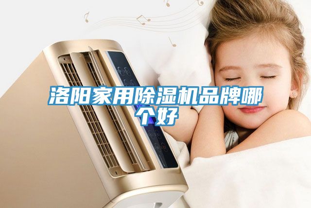 洛陽家用蘑菇视频网站品牌哪個好