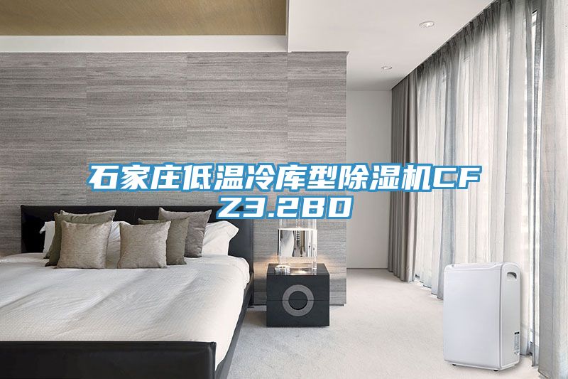 石家莊低溫冷庫型蘑菇视频网站CFZ3.2BD
