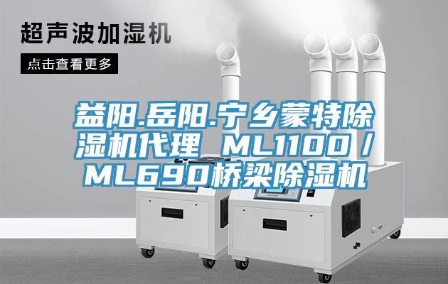 益陽.嶽陽.寧鄉蒙特蘑菇视频网站代理 ML1100／ML690橋梁蘑菇视频网站